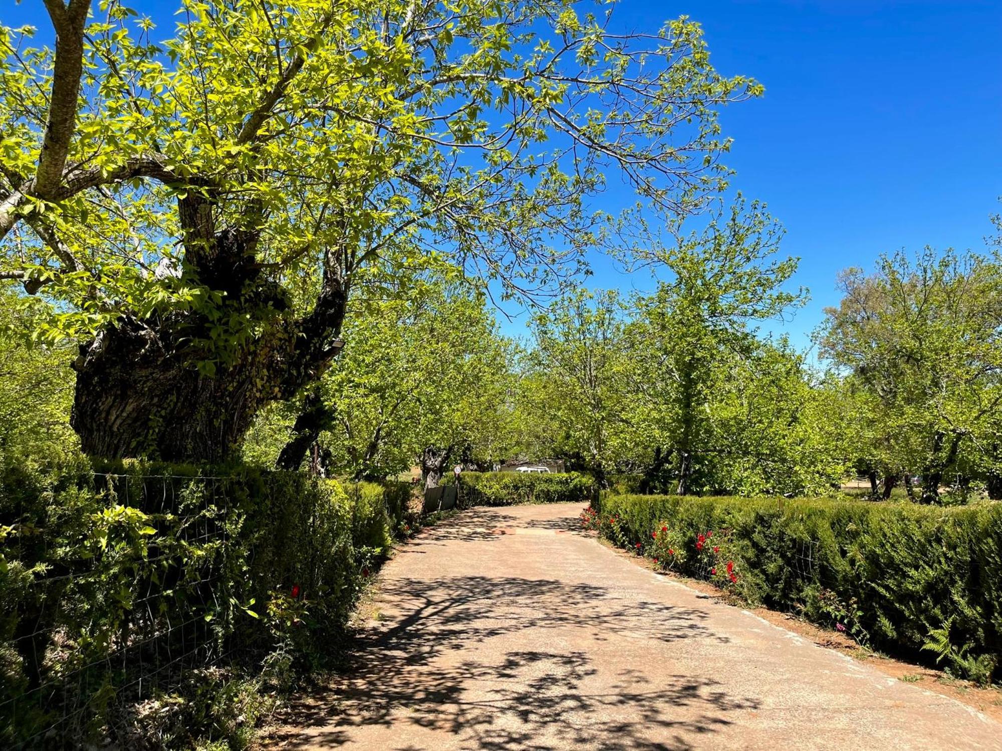 Camping El Madronal Fuenteheridos Exterior foto